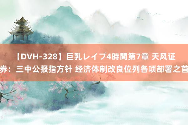 【DVH-328】巨乳レイプ4時間第7章 天风证券：三中公报指方针 经济体制改良位列各项部署之首