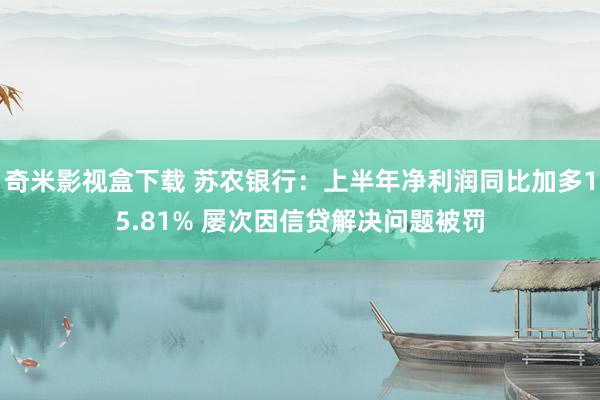 奇米影视盒下载 苏农银行：上半年净利润同比加多15.81% 屡次因信贷解决问题被罚