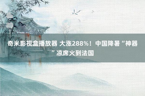 奇米影视盒播放器 大涨288%！中国降暑“神器”凉席火到法国