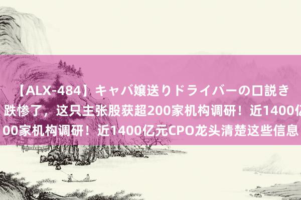 【ALX-484】キャバ嬢送りドライバーの口説きハメ撮り 2 “篡改药”跌惨了，这只主张股获超200家机构调研！近1400亿元CPO龙头清楚这些信息