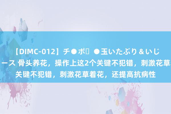 【DIMC-012】チ●ポ・●玉いたぶり＆いじめマッサージフルコース 骨头养花，操作上这2个关键不犯错，刺激花草着花，还提高抗病性