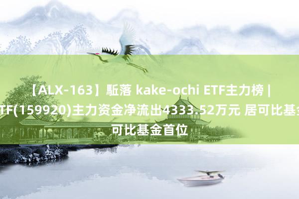 【ALX-163】駈落 kake-ochi ETF主力榜 | 恒生ETF(159920)主力资金净流出4333.52万元 居可比基金首位