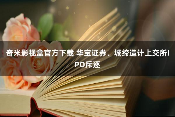 奇米影视盒官方下载 华宝证券、城缔造计上交所IPO斥逐