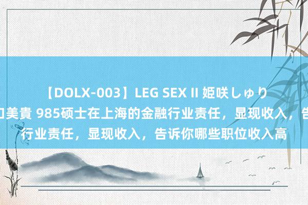 【DOLX-003】LEG SEX II 姫咲しゅり ゆりあ 眞雪ゆん 江口美貴 985硕士在上海的金融行业责任，显现收入，告诉你哪些职位收入高