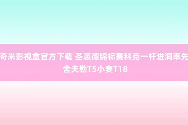 奇米影视盒官方下载 圣裘德锦标赛科克一杆进洞率先 舍夫勒T5小麦T18