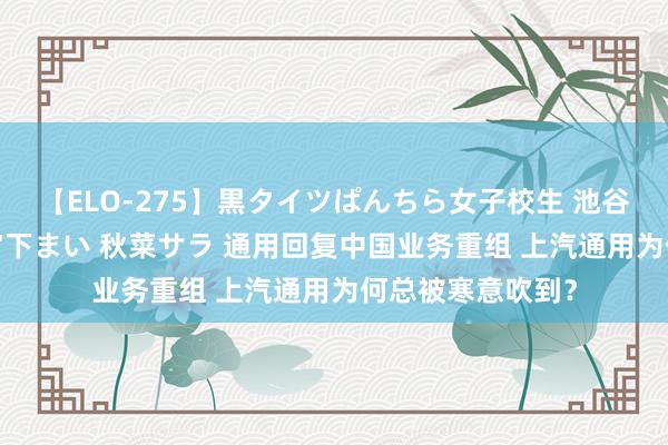 【ELO-275】黒タイツぱんちら女子校生 池谷ひかる さくら 宮下まい 秋菜サラ 通用回复中国业务重组 上汽通用为何总被寒意吹到？