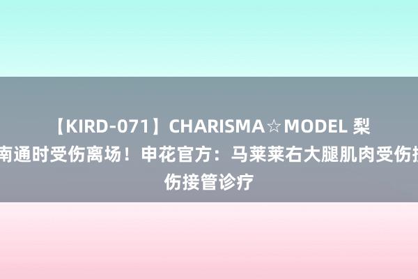 【KIRD-071】CHARISMA☆MODEL 梨々花 对南通时受伤离场！申花官方：马莱莱右大腿肌肉受伤接管诊疗