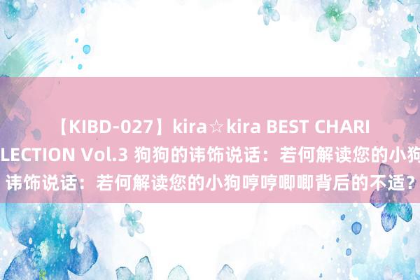 【KIBD-027】kira☆kira BEST CHARISMA☆MODEL☆COLLECTION Vol.3 狗狗的讳饰说话：若何解读您的小狗哼哼唧唧背后的不适？