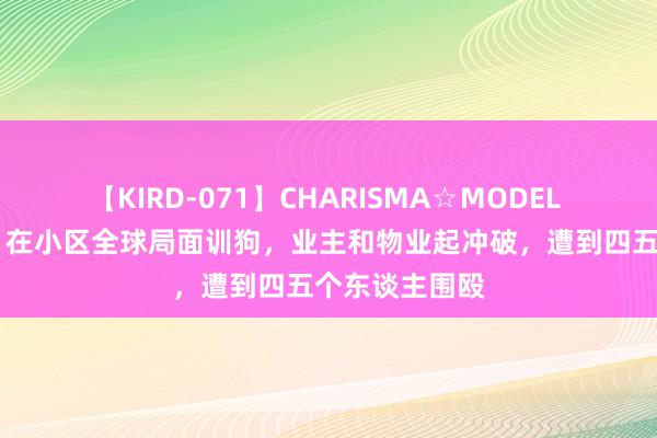 【KIRD-071】CHARISMA☆MODEL 梨々花 长沙：在小区全球局面训狗，业主和物业起冲破，遭到四五个东谈主围殴