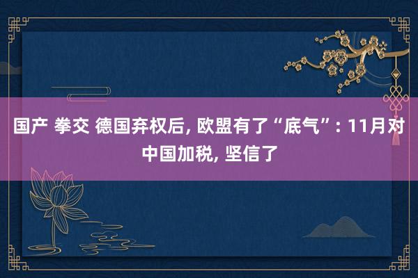 国产 拳交 德国弃权后, 欧盟有了“底气”: 11月对中国加税, 坚信了