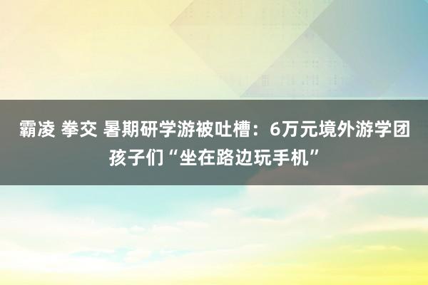 霸凌 拳交 暑期研学游被吐槽：6万元境外游学团孩子们“坐在路边玩手机”